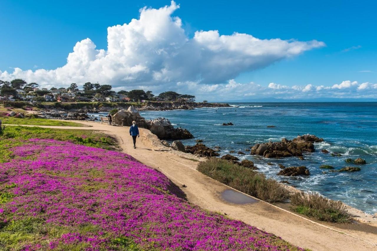 3707 Pacific'S Edge Sanctuary Home Carmel-by-the-Sea Exteriér fotografie